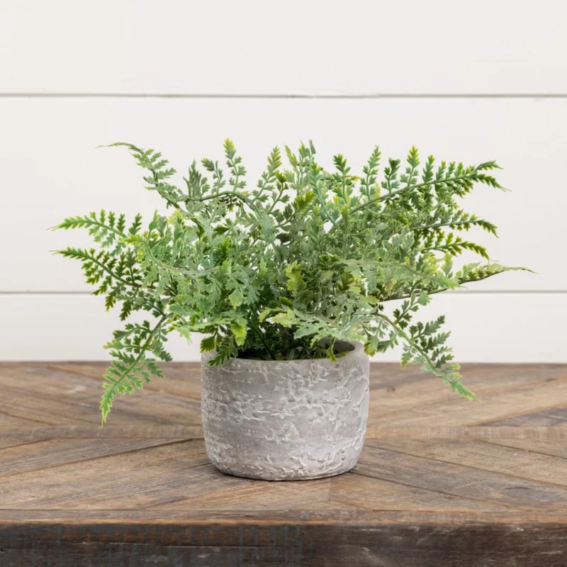 12.75″ Mini Fern in Stone Pot