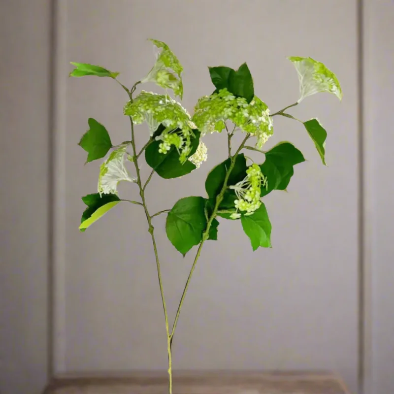 Woodland Viburnum Green Stem