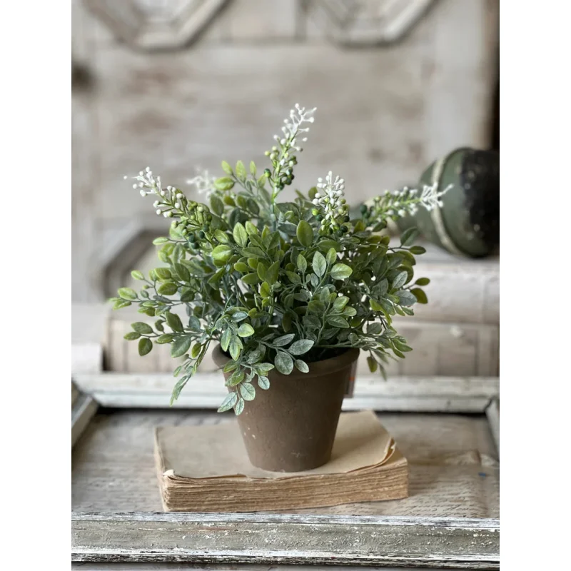 12″ Cloister Berry Pot
