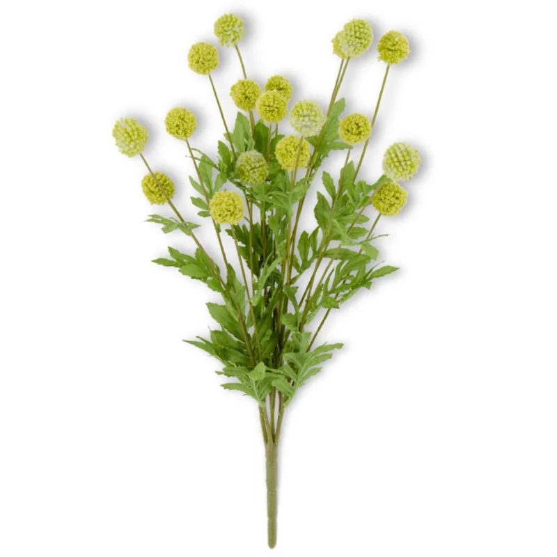 22″ Green Mini Allium Bush