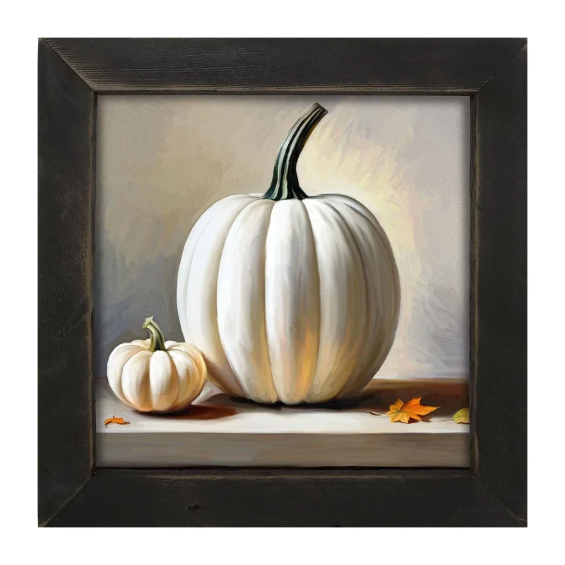 White pumpkin still life Black
