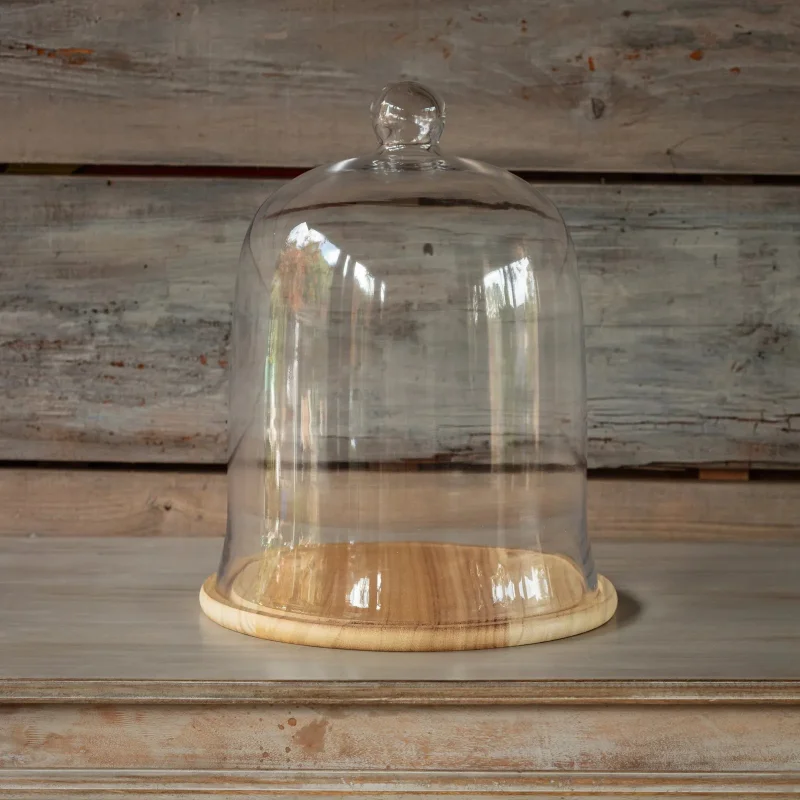 #12 Glass Cloche w/ Wood Base