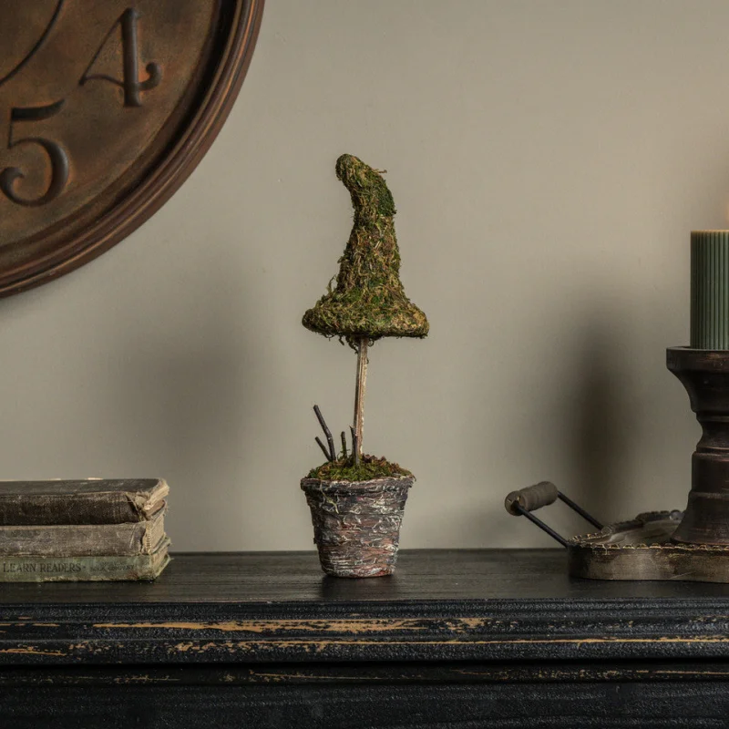 12″ Potted Moss Witch’s Hat