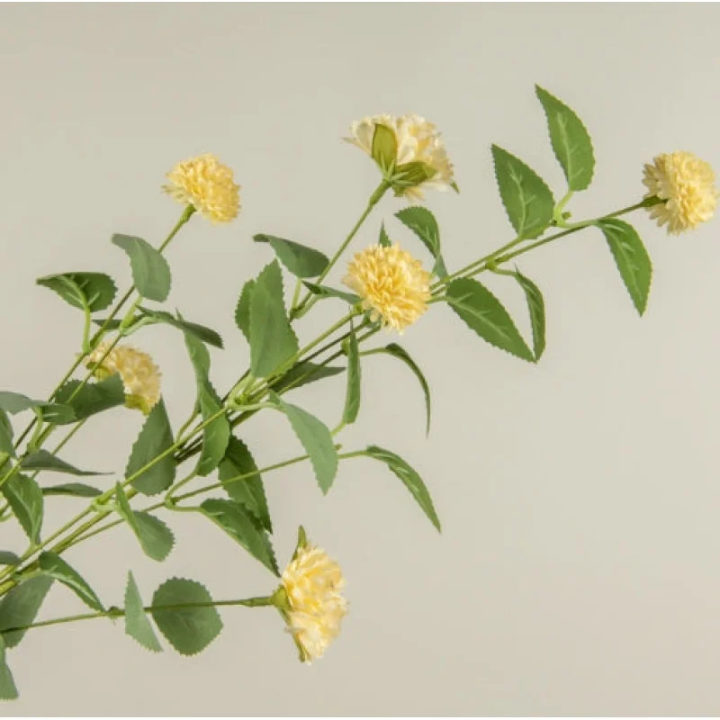 Yellow Mum Bush